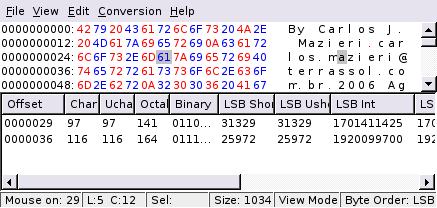 Integers in QHexVed's window